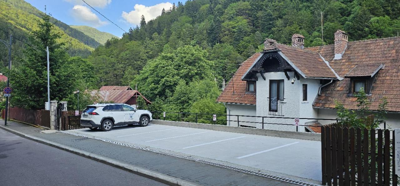 Casa Catalea Homestay Sinaia